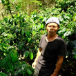 Cargar imagen en el visor de la galería, Indonesia - Sesongot Winey