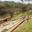 Load image into Gallery viewer, Tanzania - Acacia Hills