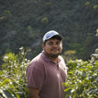 Cargar imagen en el visor de la galería, Honduras - Las Calaveras