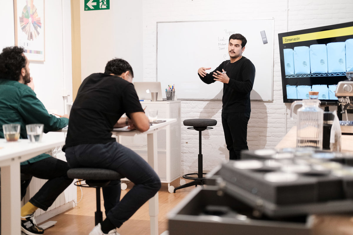 SCA Barista Skills course - Professional – Hola Coffee Roasters