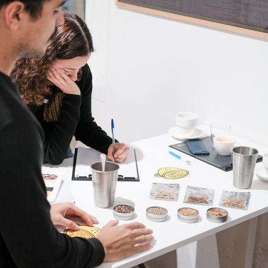 SCA Barista Skills course - Professional