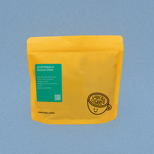 Guatemala - Buena Vista