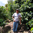 Cargar imagen en el visor de la galería, Guatemala - La Nueva Montaña