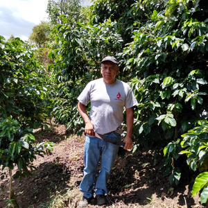 Guatemala - La Nueva Montaña