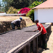 Load image into Gallery viewer, Tanzania - Acacia Hills