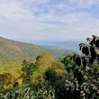 Cargar imagen en el visor de la galería, Guatemala - Los Papeles